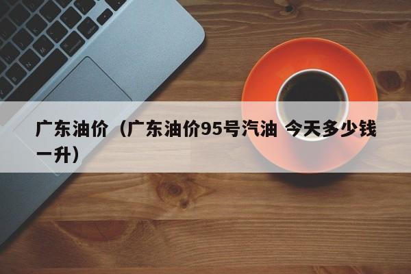 广东油价（广东油价95号汽油 今天多少钱一升）