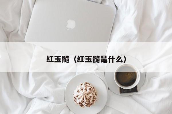 红玉髓（红玉髓是什么）