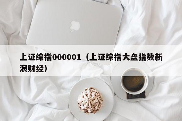 上证综指000001（上证综指大盘指数新浪财经）