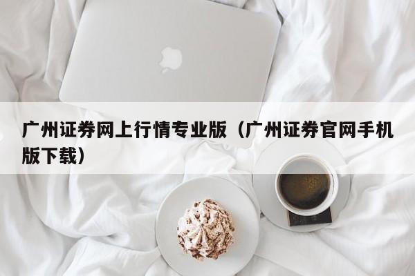 广州证券网上行情专业版（广州证券官网手机版下载）