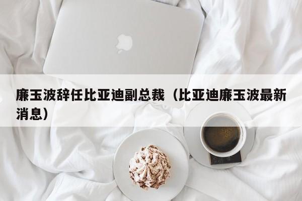 廉玉波辞任比亚迪副总裁（比亚迪廉玉波最新消息）