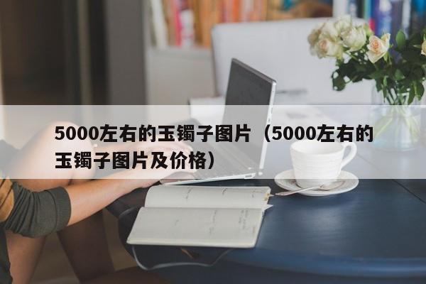 5000左右的玉镯子图片（5000左右的玉镯子图片及价格）