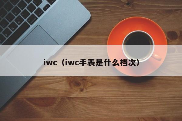 iwc（iwc手表是什么档次）